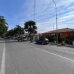 Home Shkodra