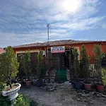 Home Shkodra